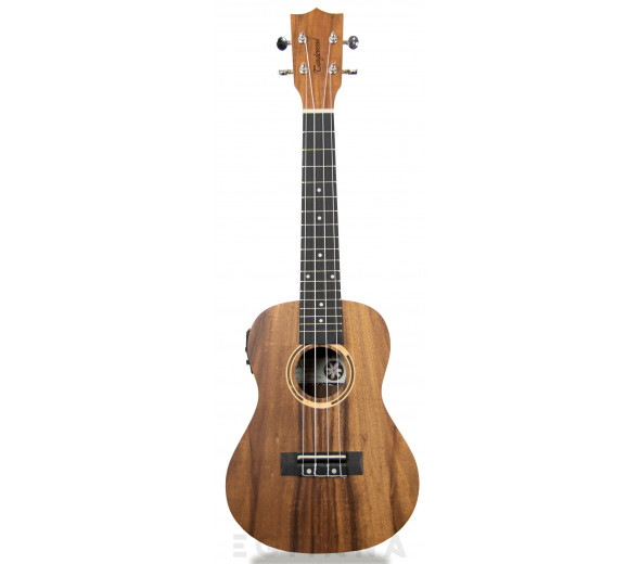 Tanglewood TWT 8 E Tanglewood TWT 8 E